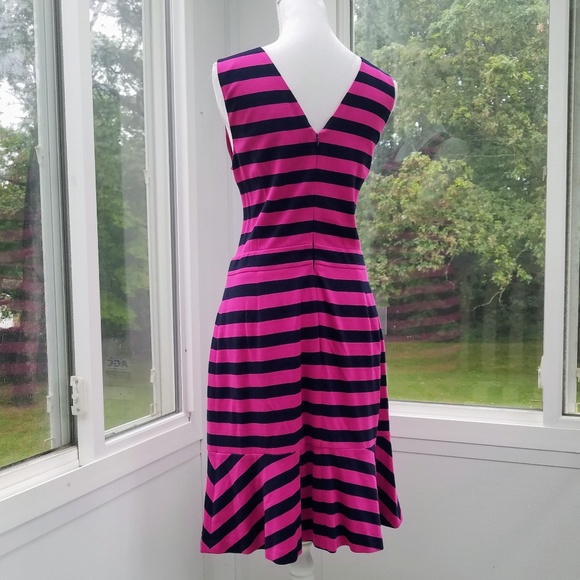 💼 Banana Republic Fuchsia & Navy Sleeveless Flounce Dress - Picture 3 of 8